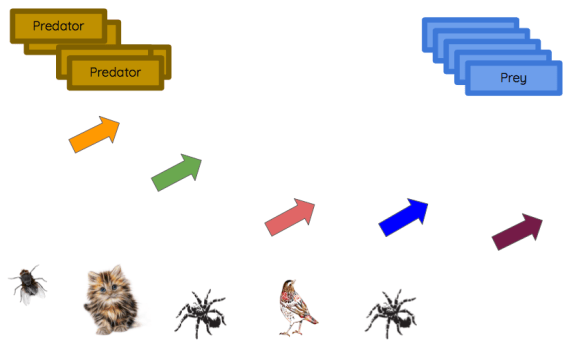 Screen Shot 2017-10-27 at 9.55.41 PM