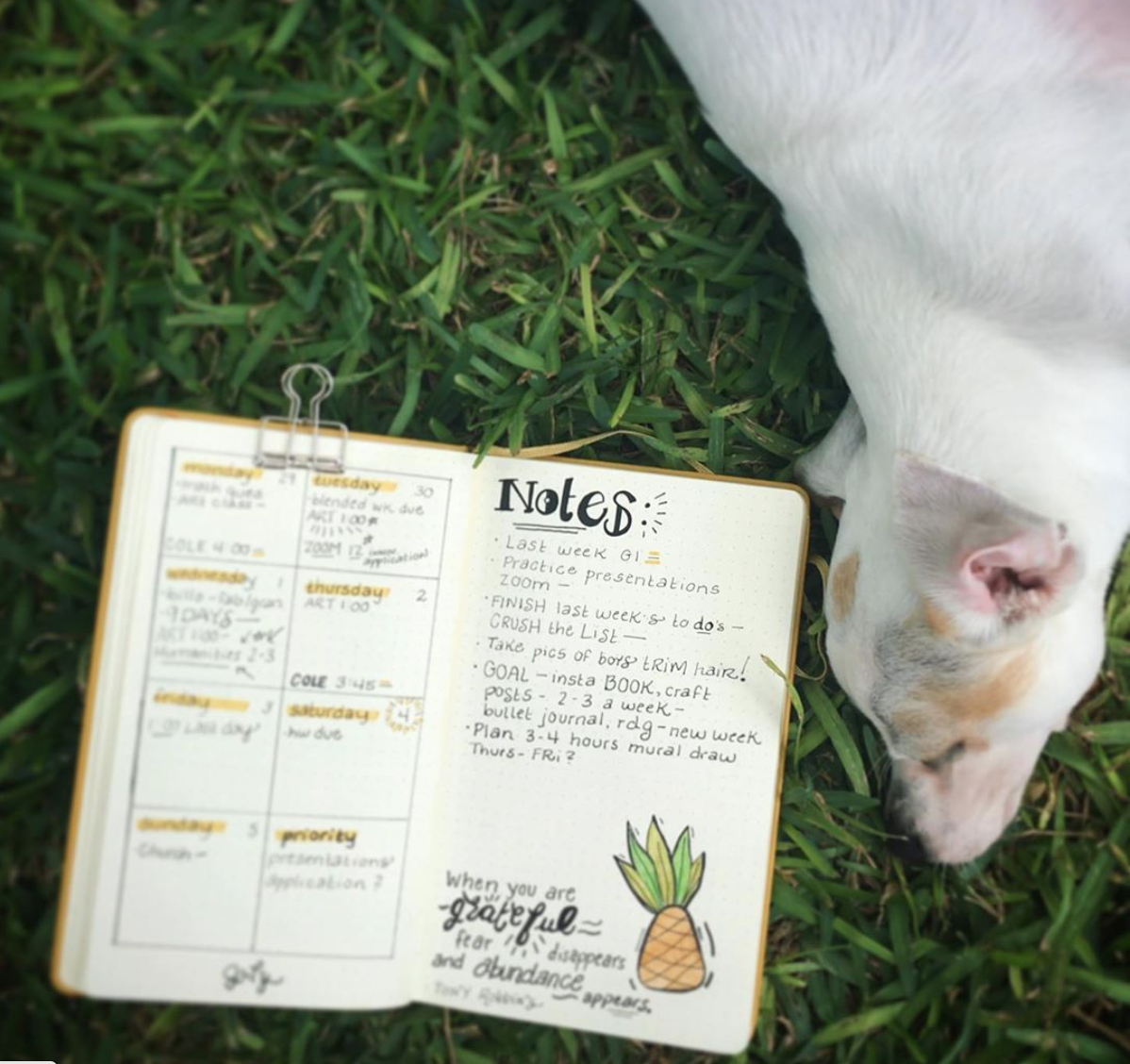 Screen Shot 2020-07-09 at 3.54.28 PM